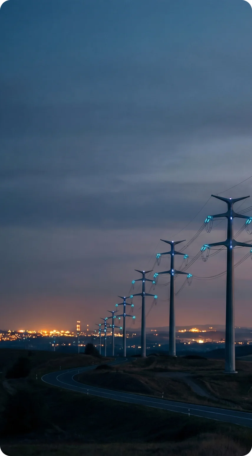 Utility smart metering network